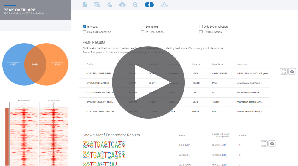 ATAC_ChIPseq_videos_1