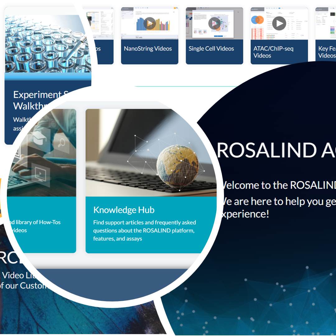 Rosalind acdemy crop