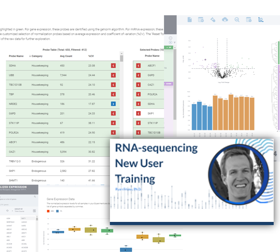 Screenshot 2024-08-05 111038