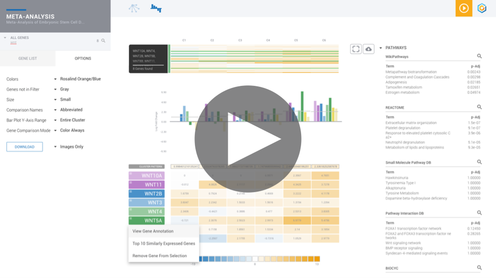meta features video_1