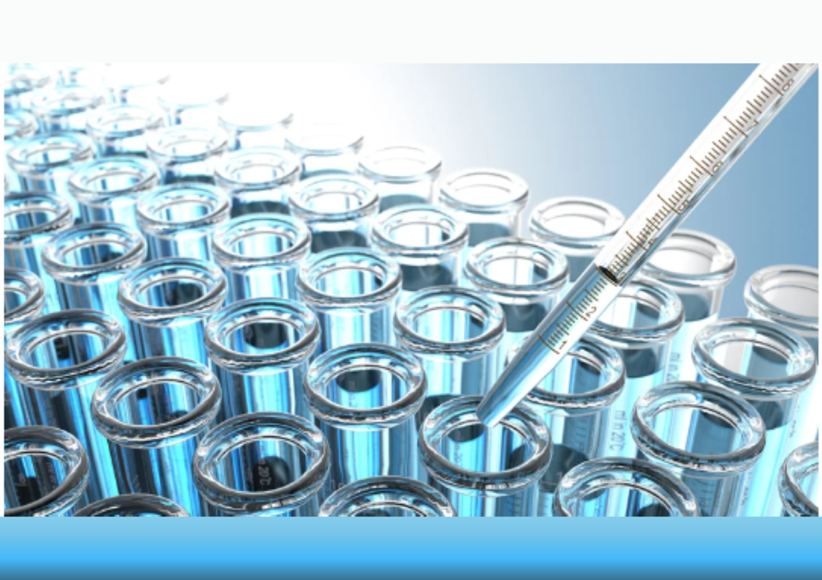 walkthrough photo_1-1